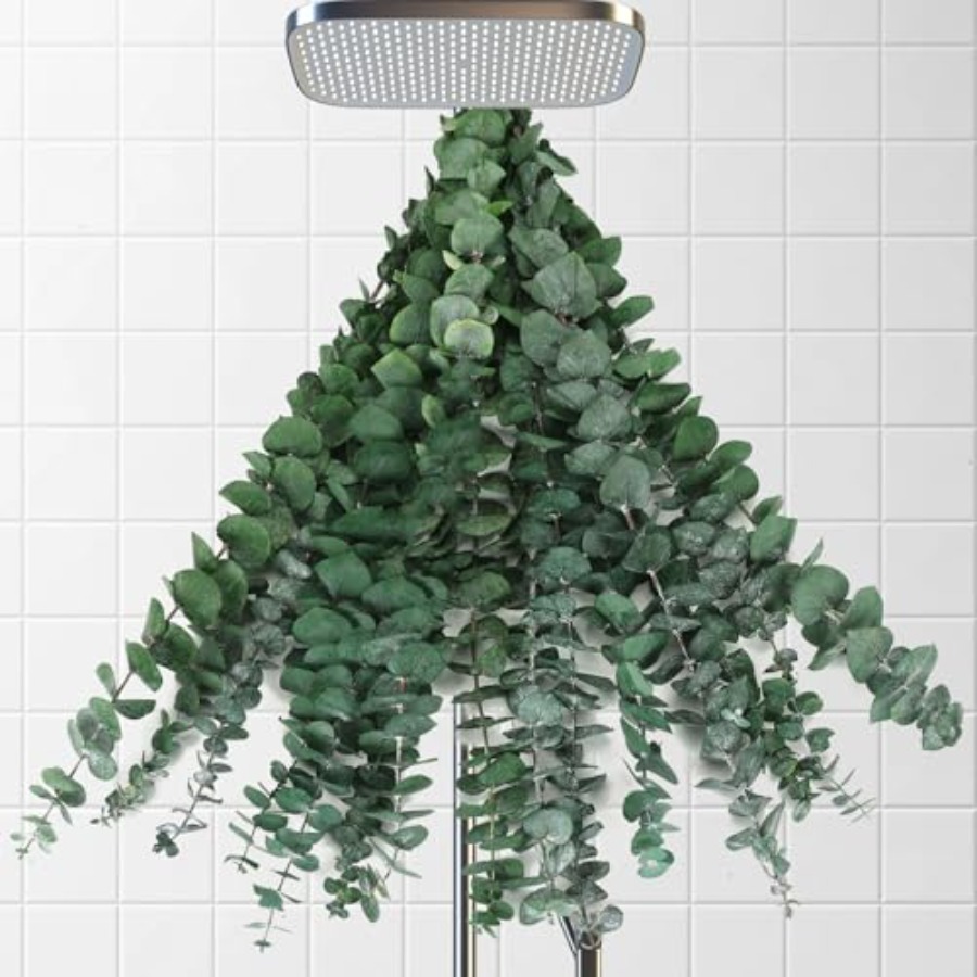 Home Fragrance Eucalyptus - กิ่งยูคาลิปตัสแห้งสำหรับอาบน้ำ ขนาด 17 นิ้ว กิ่งใบยูคาลิปตัสธรรมชาติ สำหรับแขวนตกแต่งห้องอาบน้ำ