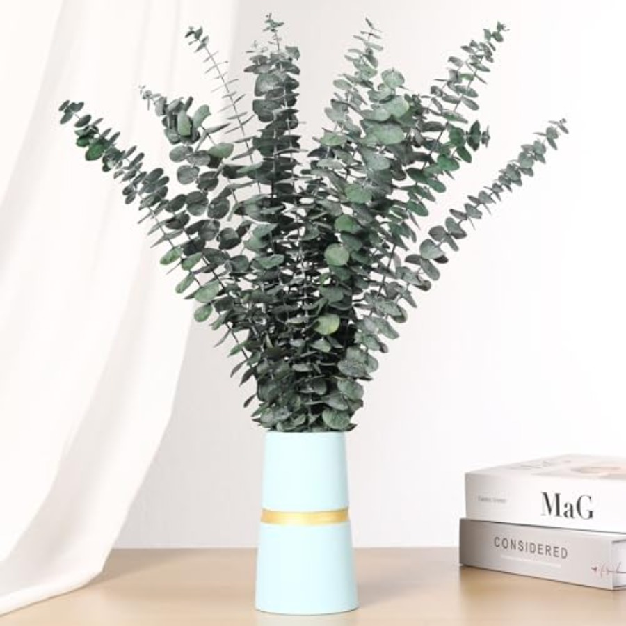 กิ่งยูคาลิปตัสแห้งสำหรับอาบน้ำ - Home Fragrance Eucalyptus บทวิจารณ์และราคา