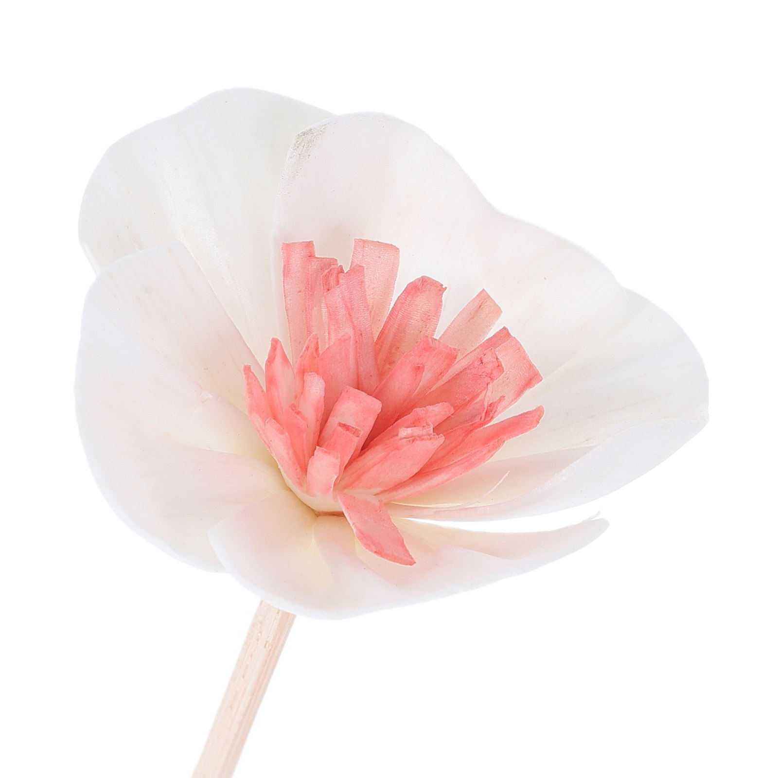 แท่งกระจายกลิ่นน้ำมันหอมระเหย  - Home Fragrance Oils For Diffusers บทวิจารณ์และราคา