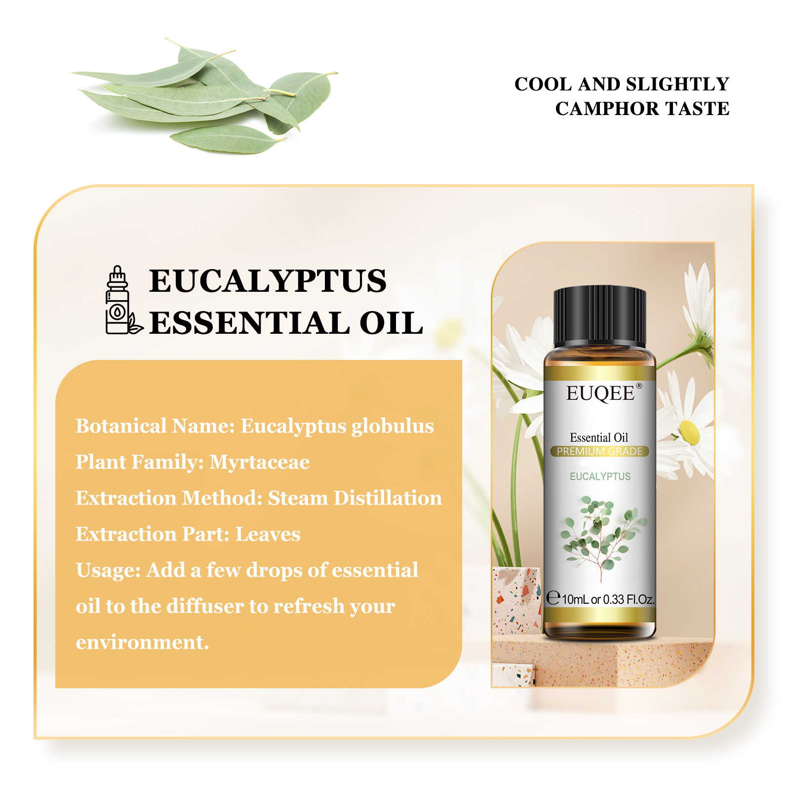 EUQEE 10ML น้ํามันหอมระเหยธรรม - Home Fragrance Eucalyptus บทวิจารณ์และราคา