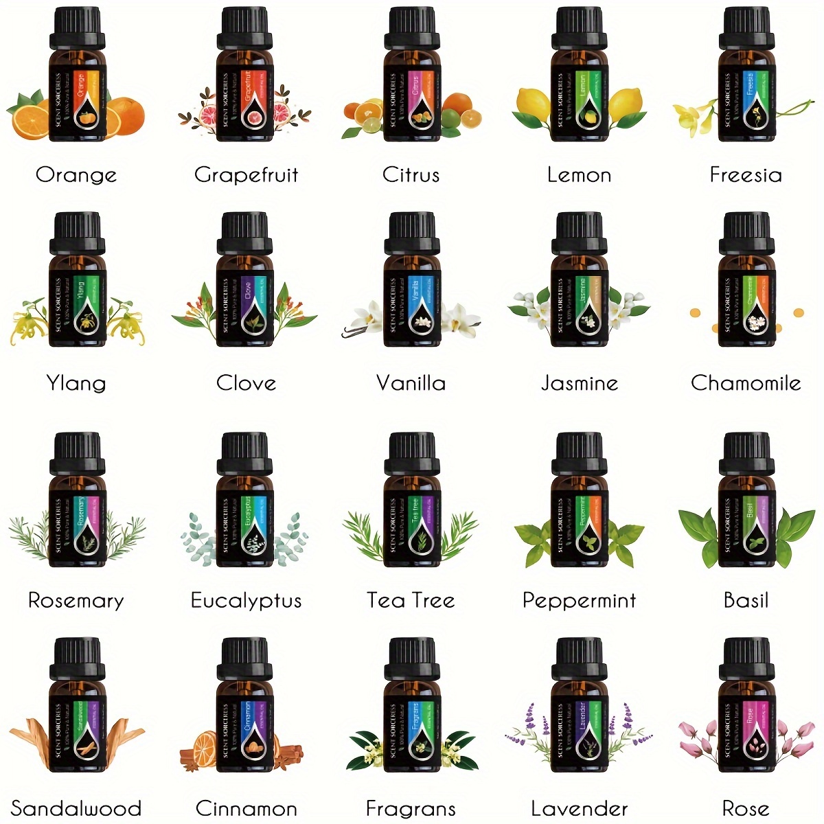 20 ชิ้น/เซ็ต ชุดน้ำมันหอมระเหย - Home Fragrance Eucalyptus บทวิจารณ์และราคา
