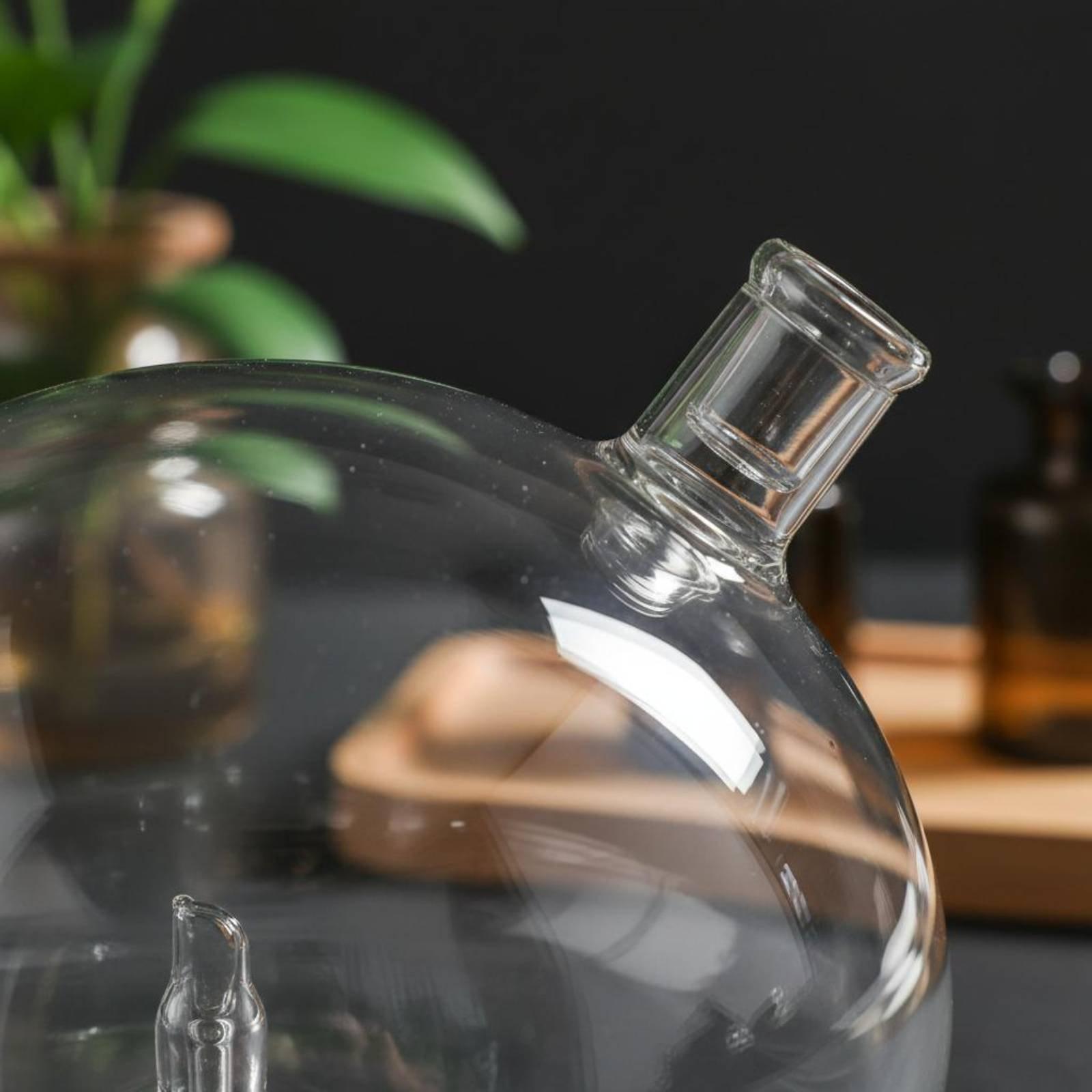 ขวดดิฟฟิวเซอร์แบบแก้ว ใช้แทนได - Fragrance In Home บทวิจารณ์และราคา